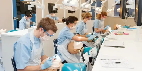 How to Become a Dentist in the UK: Complete Career Guide
